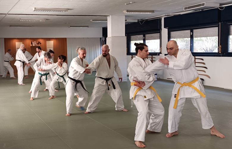Asayama Ichiden Ryu